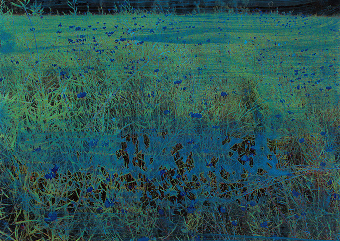 bleu5mirlesse_800_700